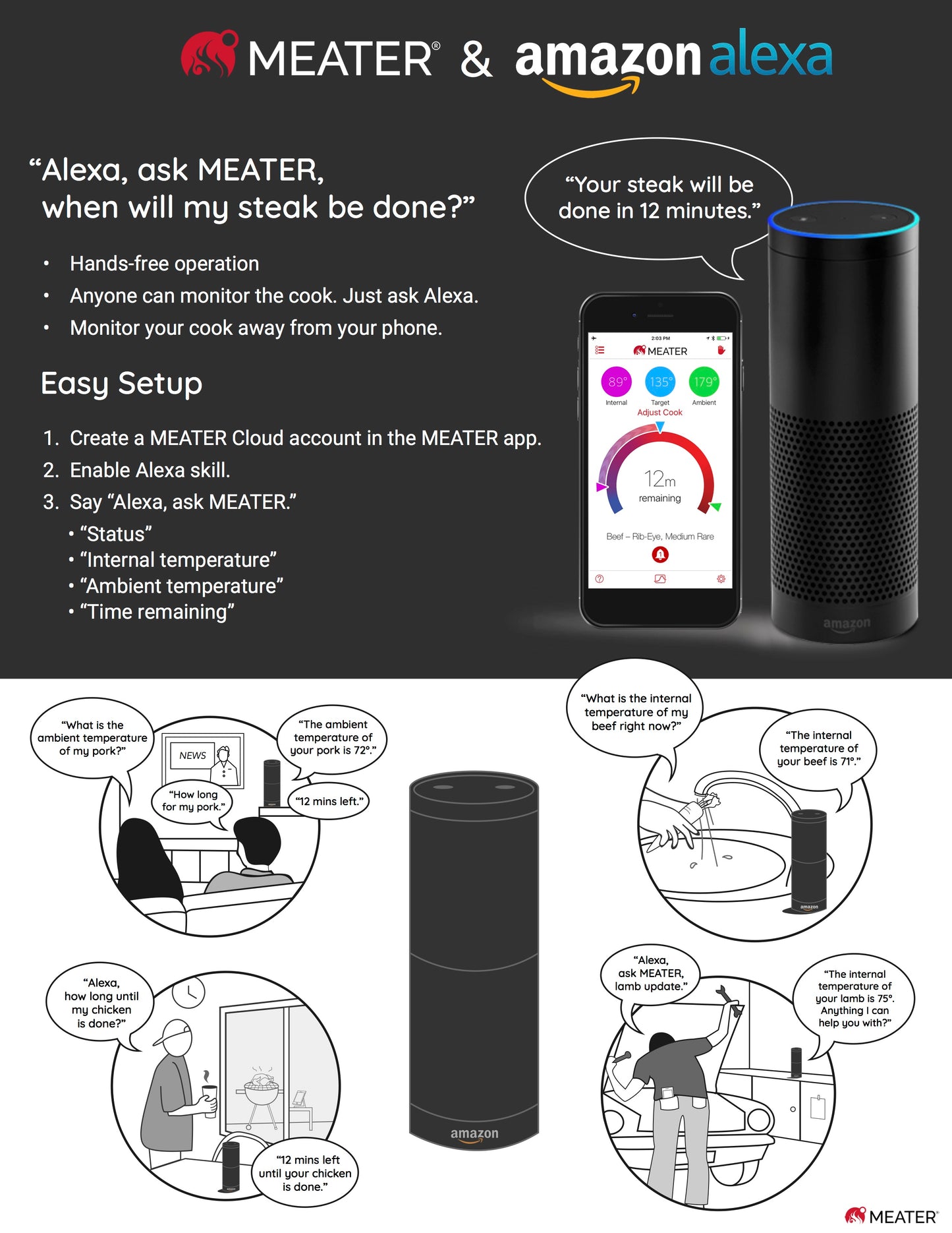 ApptionLabs Meater+ (Grillthermometer)